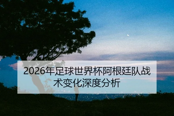 nian-zu-qiu-shi-jie-bei-a-gen-ting-dui-zhan-shu-bian-hua-shen-du-fen-xi-2-952.jpg
