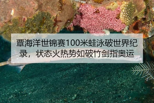 tan-hai-yang-shi-jin-sai-mi-wa-yong-po-shi-jie-ji-lu-zhuang-tai-huo-re-shi-ru-po-zhu-jian-zhi-ao-yun-2-108.jpg