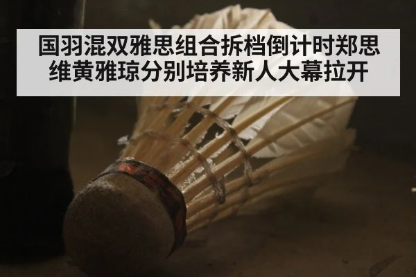 国羽混双雅思组合拆档倒计时郑思维黄雅琼分别培养新人大幕拉开