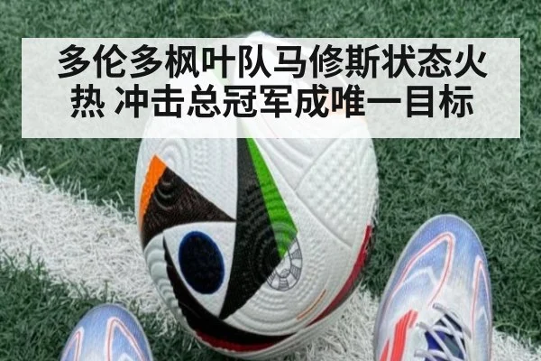 多伦多枫叶队马修斯状态火热 冲击总冠军成唯一目标